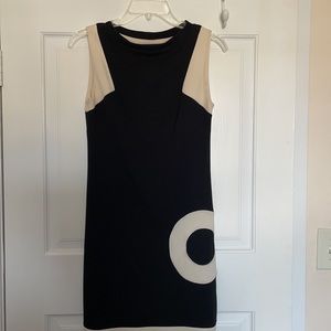 ABS BodyCon color block dress Petite